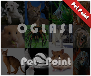 kućni ljubimci oglasi